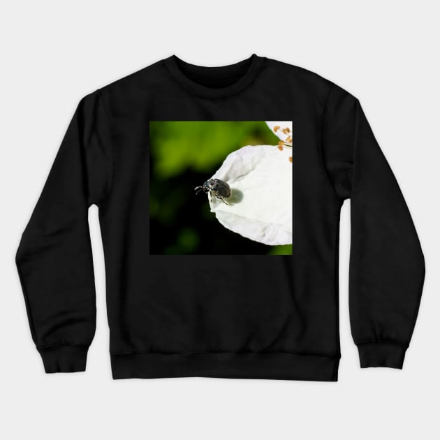 Jewel Crewneck Sweatshirt by swinemiester